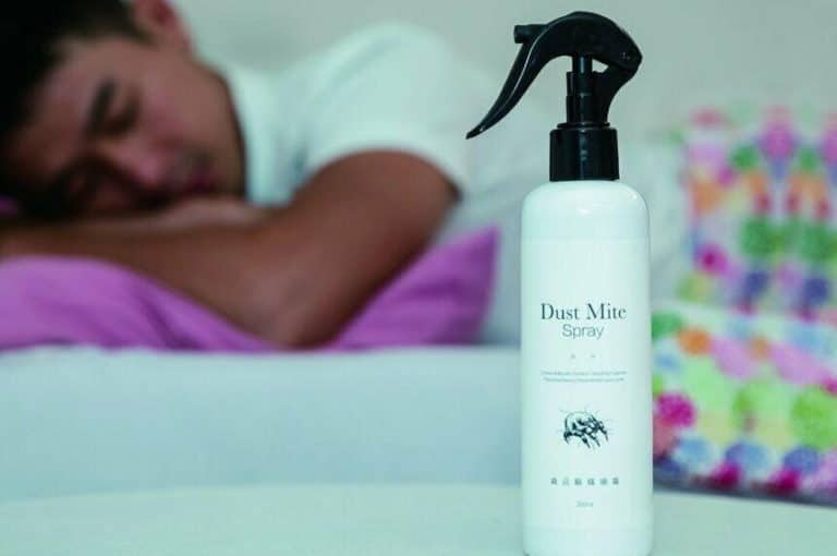 7 Best Dust Mite Sprays Reviewed in Detail (Fall 2023)