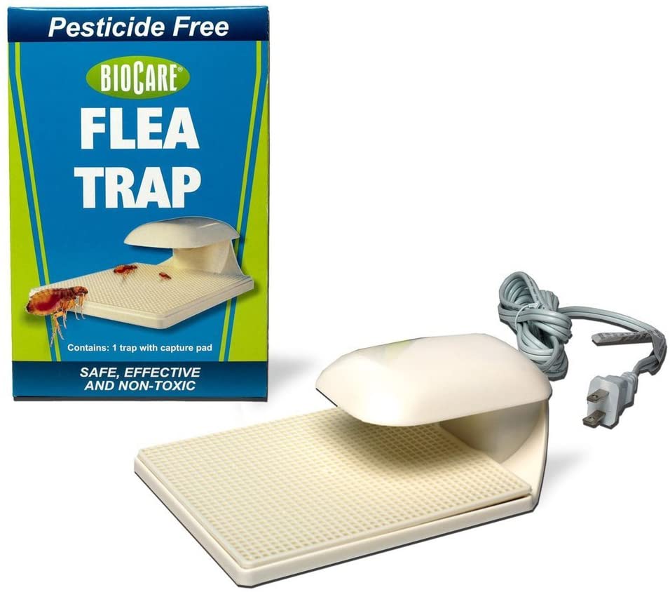 BioCare Indoor Flea Trap