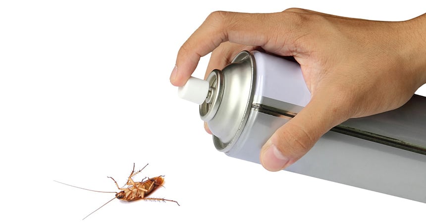 10 Best German Roach Killers – Powerful Pesticides for Indoor and Outdoor Use! (Spring 2022)