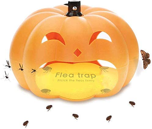 Protecker Pumpkin Flea Trap