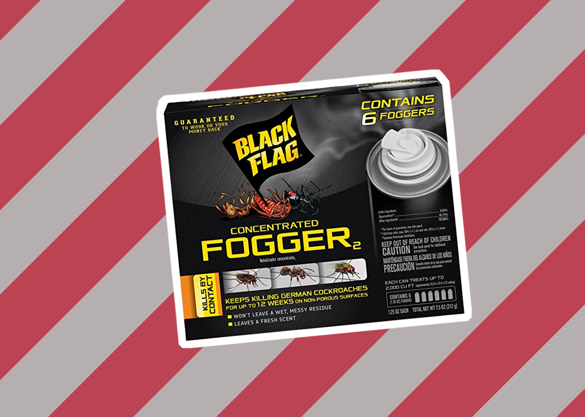 8 Best Foggers for Spiders Reviewed in Detail (Summer 2023)