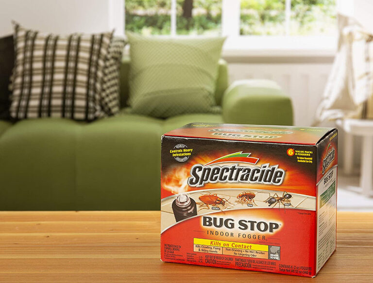 8 Best Foggers for Spiders Reviewed in Detail (Summer 2023)