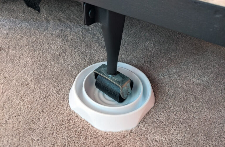 How to Find Bed Bugs During the Day Here's the Answer