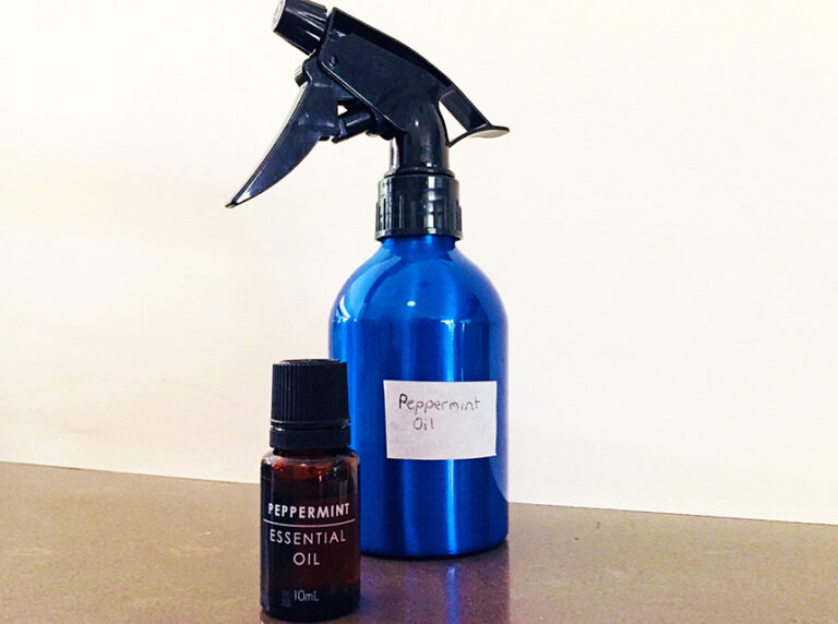 How to Use Peppermint Oil for Bed Bugs Here's the Answer