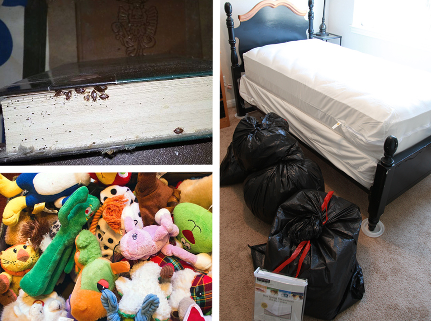 How to Prepare for Bed Bug Treatment: What You Should and Shouldn't Do