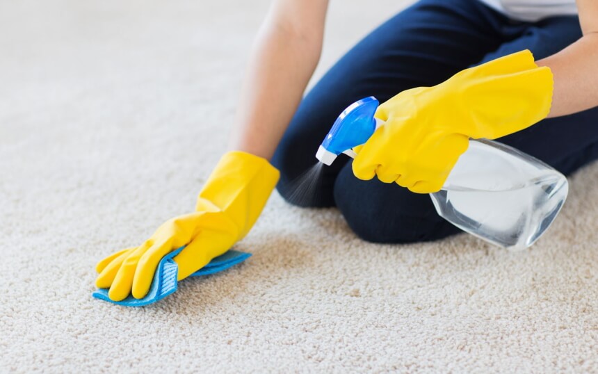 How to Get Rid of Ants on Carpet: Expert Advice