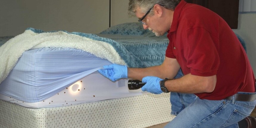How to Make Bed Bugs Come Out of Hiding: Top Tested Methods