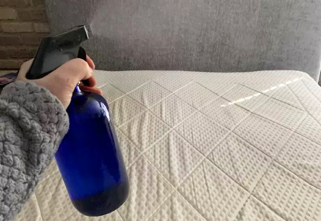 How to Make Homemade Bed Bug Spray: Simple Recipes that Work
