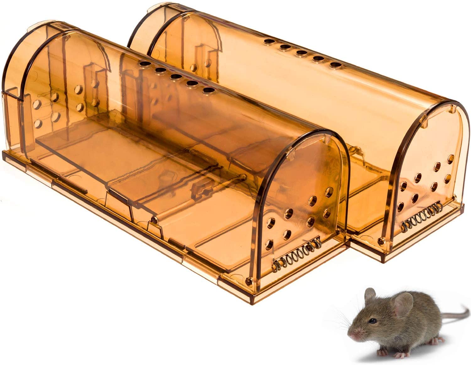 The CaptSure Humane Mouse Trap