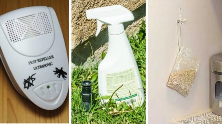 5 Best Rat Repellents - Reviewed And Rated (Spring 2024)