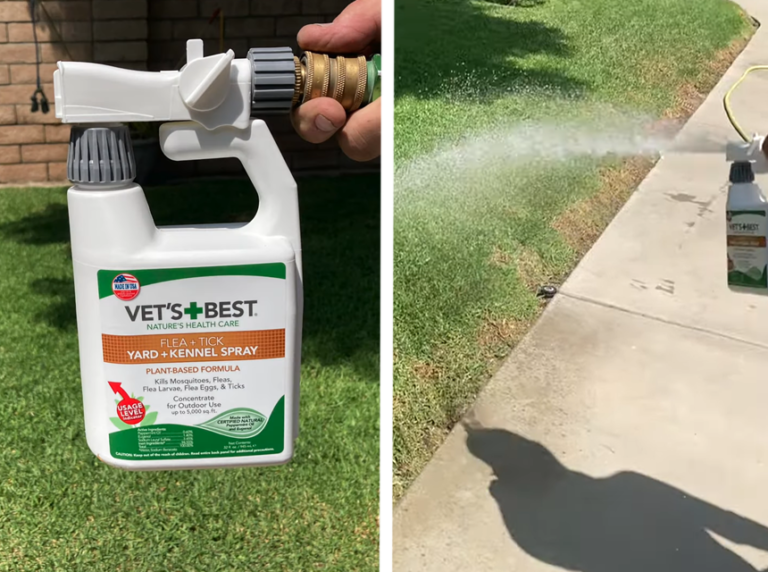 7 Best Flea Killers for Yard Reviewed in Detail (Summer 2024)