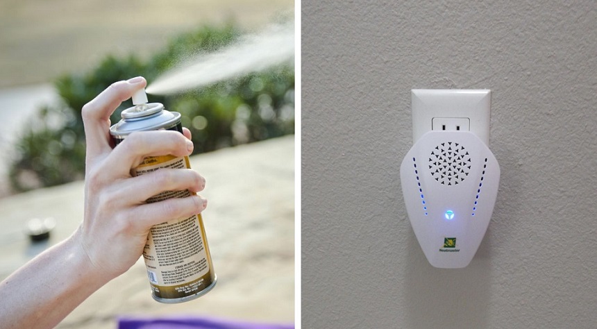 6 Best Stink Bug Repellents for Every Situation