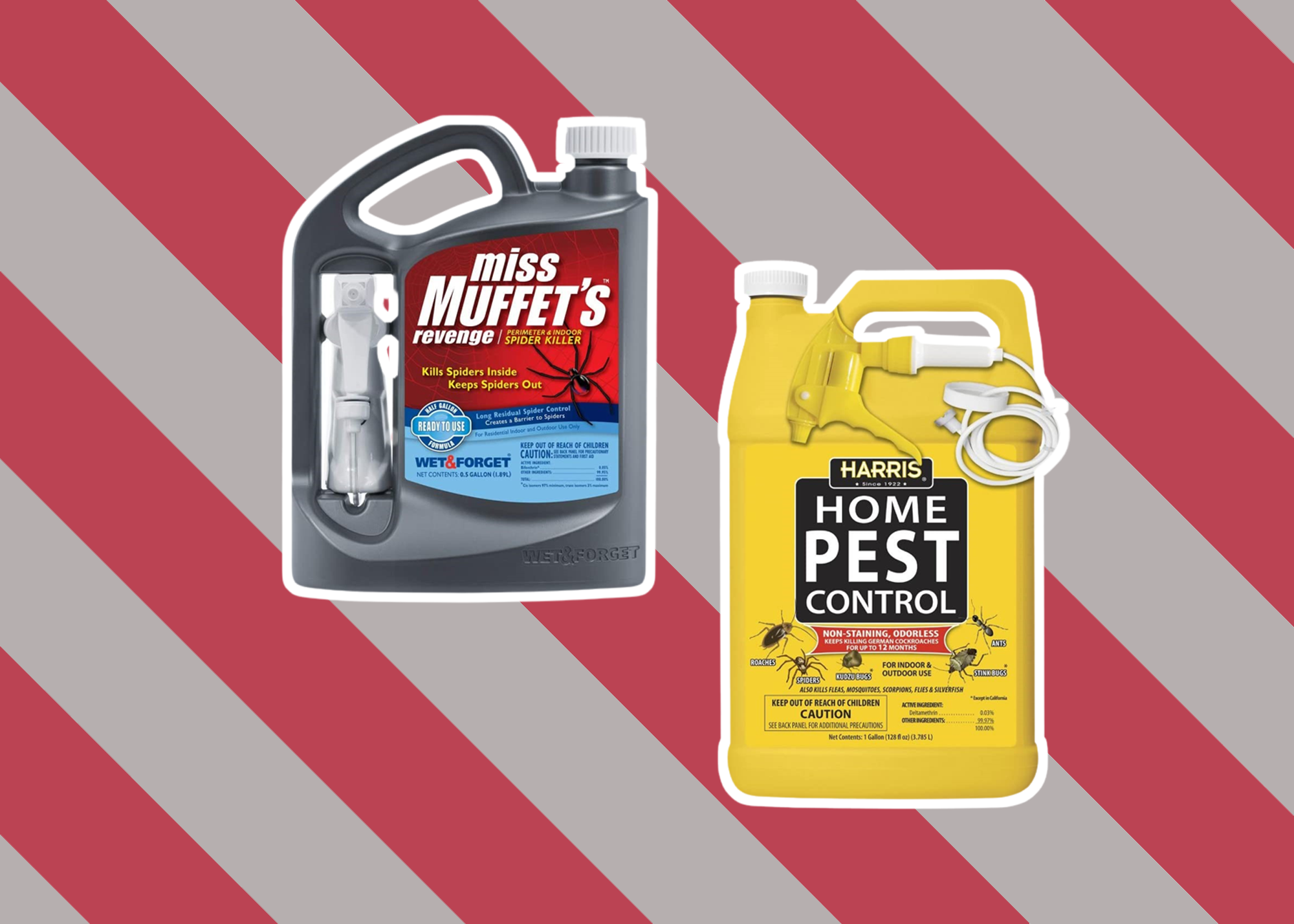 7 Best Outdoor Spider Sprays to Keep Your Home Safe