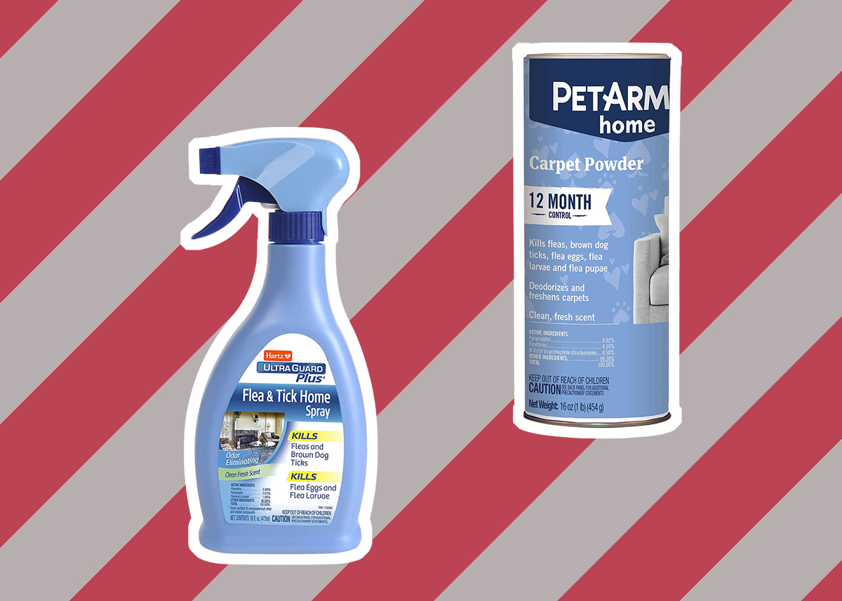 5 Best Flea Killers for Carpets (Fall 2023) The Complete Guide 5 Best Flea Killers for Carpets (Fall 2023) The Complete Guide