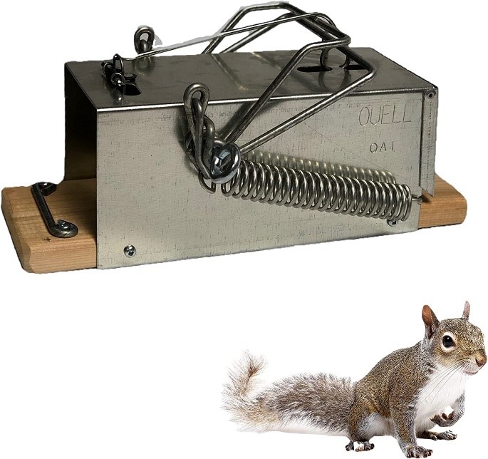 Pieges Ouell Squirrel Trap