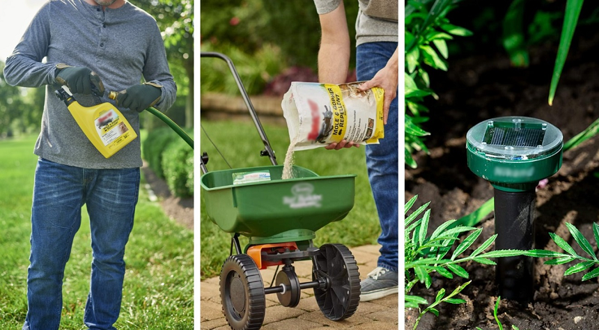 5 Best Gopher Repellents - Don't Let Pesky Critters Ruin Your Garden! (2023)