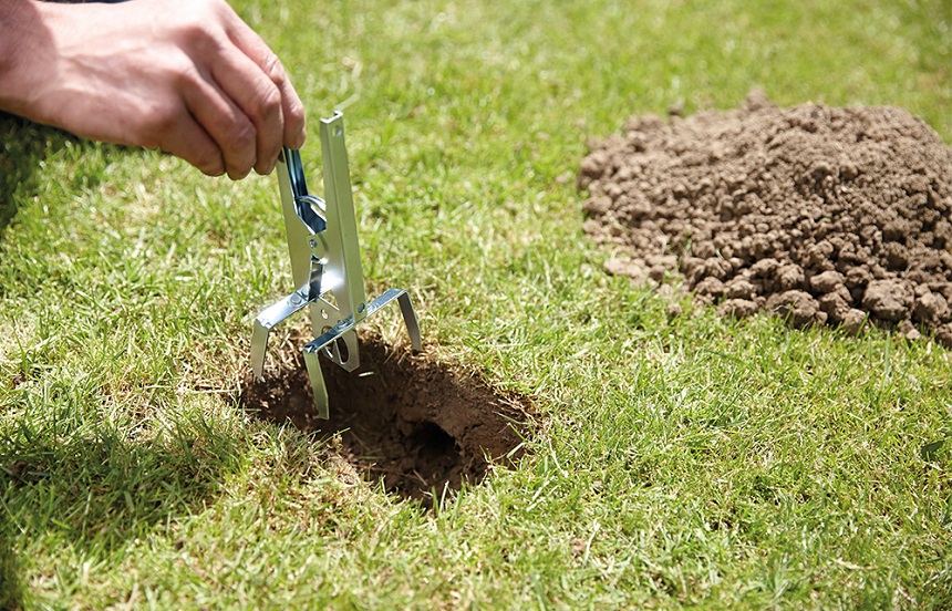8 Best Mole Traps to Keep Your Garden Looking Perfect (2023)