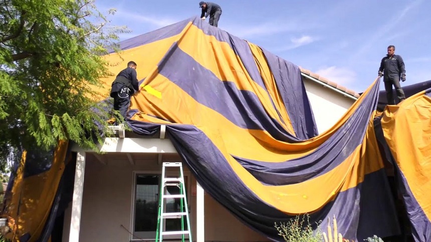 Termite Tenting: What to Expect and How to Prepare