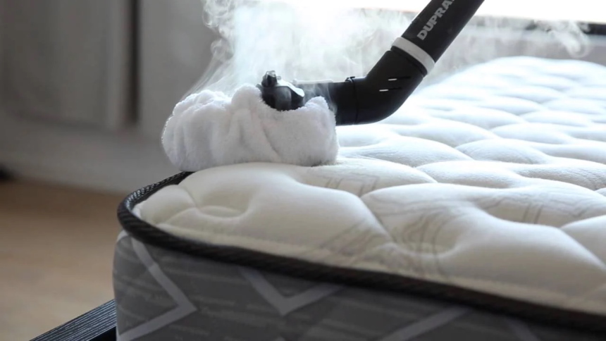 How to Get Rid of Bed Bugs - Eliminate Them for Good