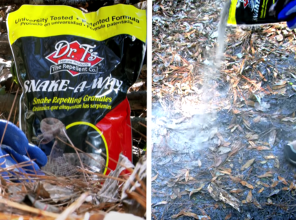How to Get Rid of Copperhead Snakes: 8 Methods that Work