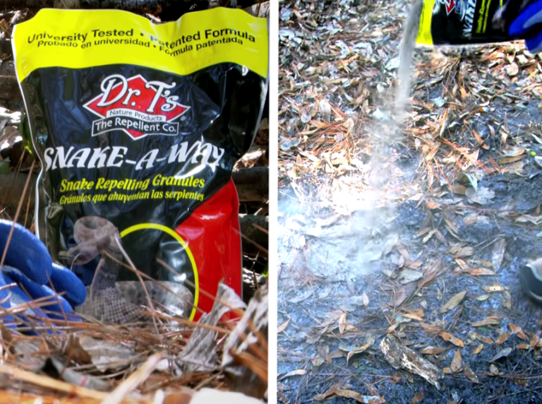 How to Get Rid of Copperhead Snakes 8 Methods that Work