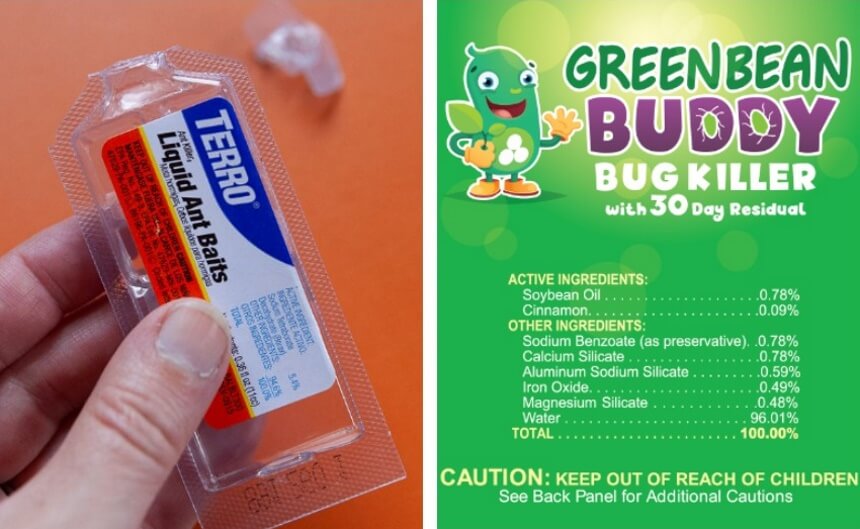 10 Best Ant Killers: Fast, Safe and Effective