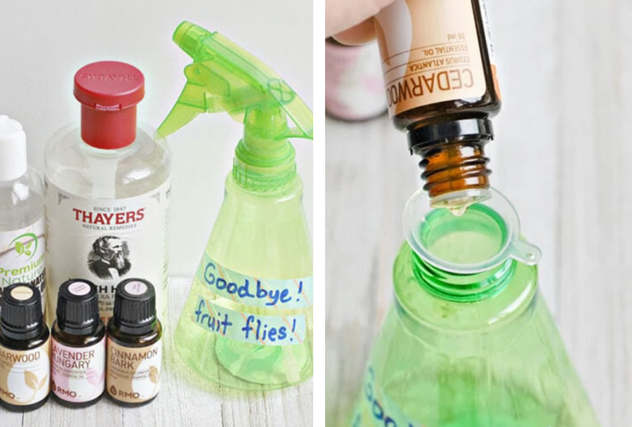 How to Get Rid of Fruit Flies - Say Goodbye to Them with These Easy Tips and Tricks