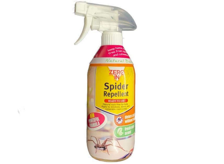 How to Get Rid of Joro Spiders: 4 Most Effective Ways and Tips