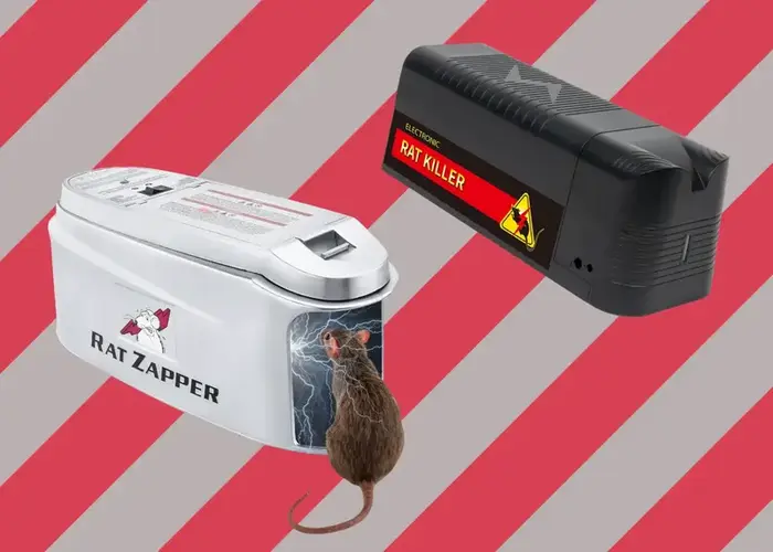 5 Best Electronic Mouse Traps - Get Rid of Unwanted Guests