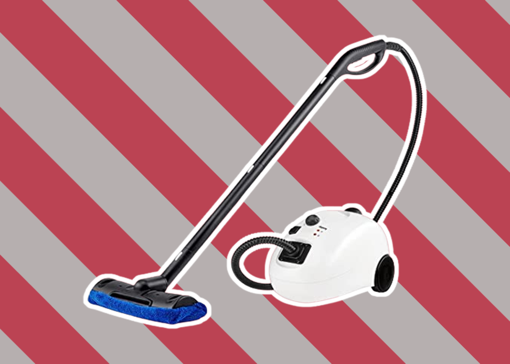 6 Best Steam Cleaners for Dust Mites - Whole-House Sanitation