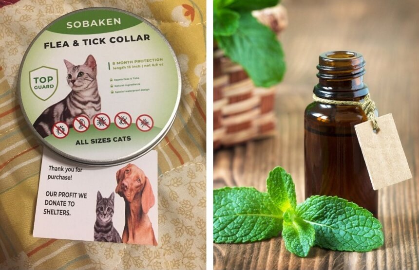 8 Best Flea Collars for Cats - Stylish and Reliable Protection