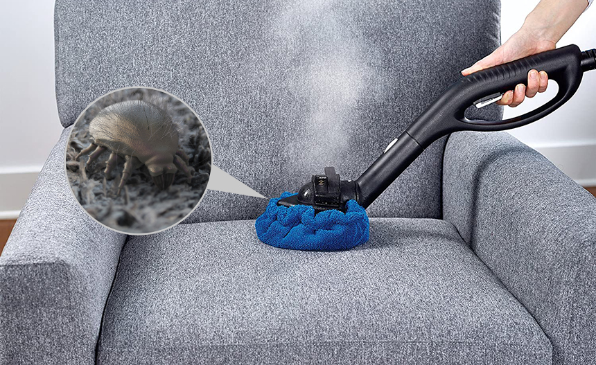 6 Best Steam Cleaners for Dust Mites - Whole-House Sanitation