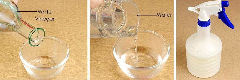 How to Make an Ant Killer Yourself? Homemade Ant Killer Recipes