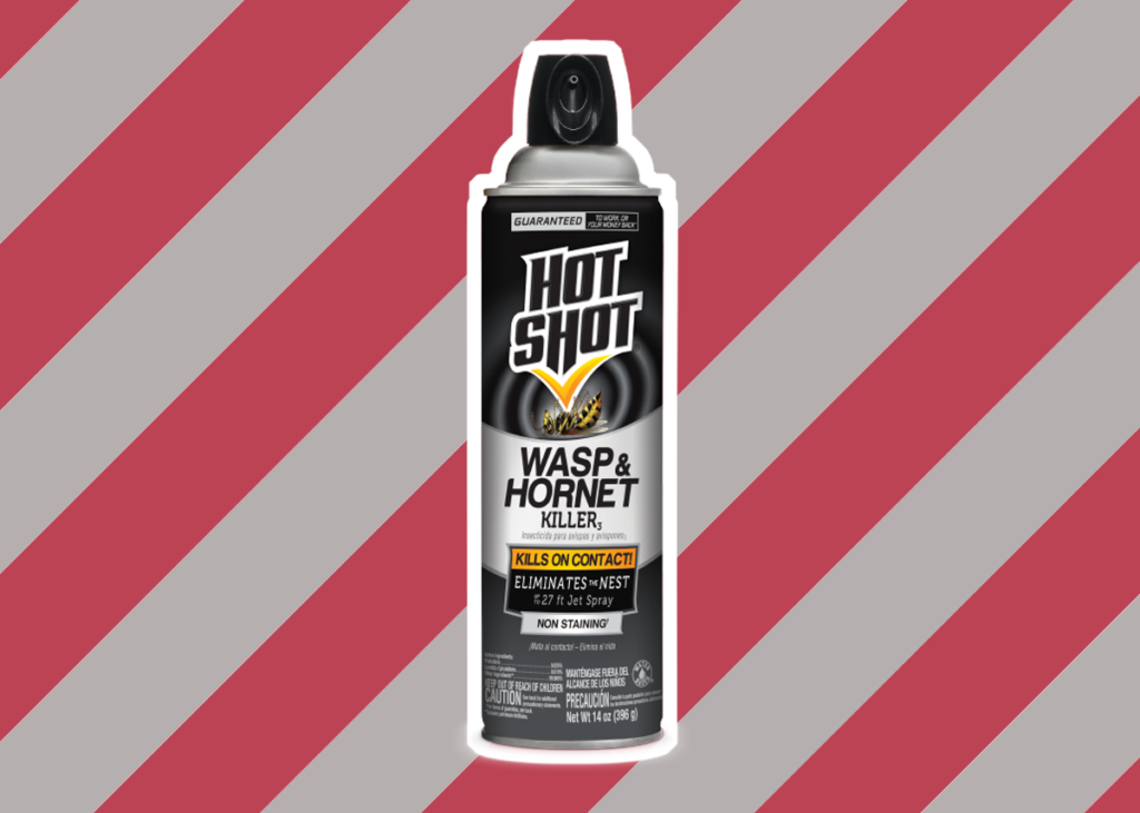 5 Best Wasp Foggers - Aid in Your Battle with Insects