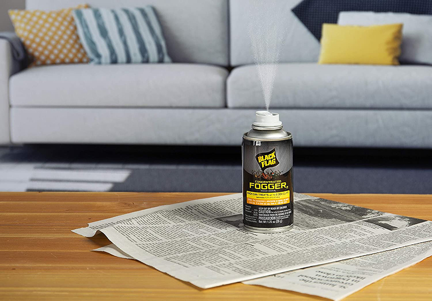 8 Best Foggers for Spiders - They Won't Enter Your House Again