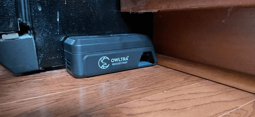 5 Best Electronic Mouse Traps - Get Rid of Unwanted Guests