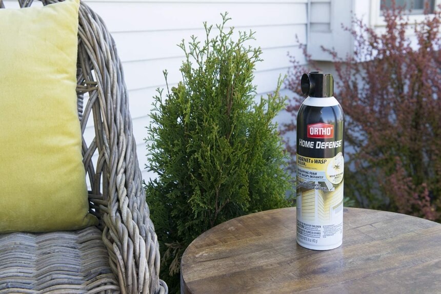 5 Best Wasp Foggers - Aid in Your Battle with Insects