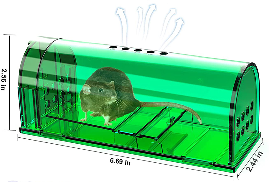 Best Outdoor Rat Traps - Keep Your Home and Yard Rodent-Free