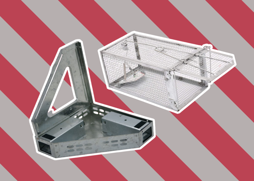 5 Best Humane Mouse Traps That Wouldn’t Hurt a Fly