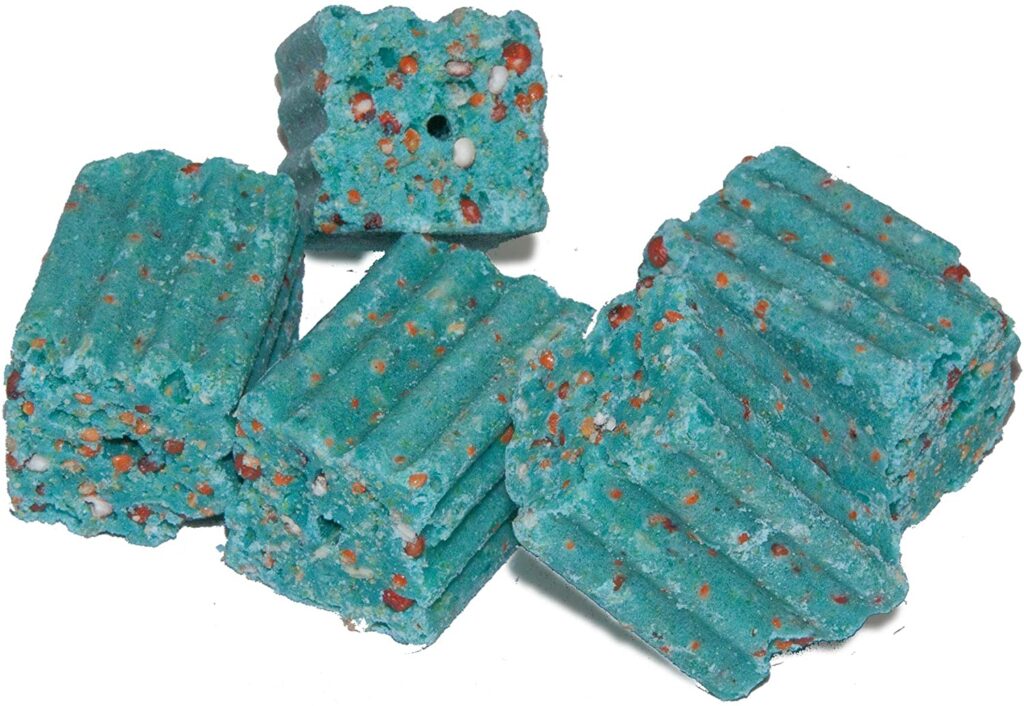 7 Best Mouse Poisons: The Most Effective Way to Get Rid of Them Once and for All