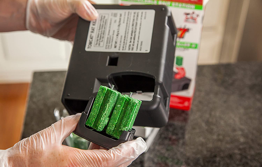 7 Best Mouse Poisons: The Most Effective Way to Get Rid of Them Once and for All