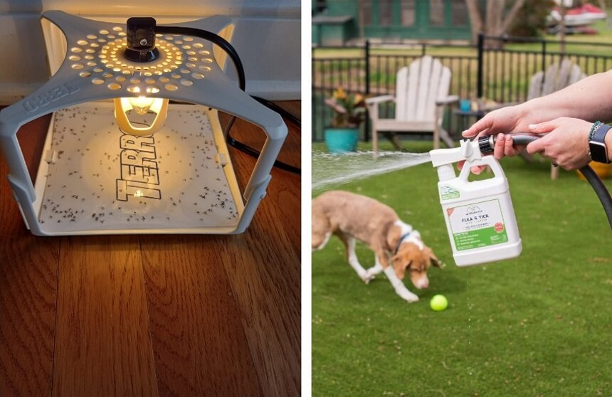 8 Best Flea Bombs and Foggers for House - Kill Them All for Good