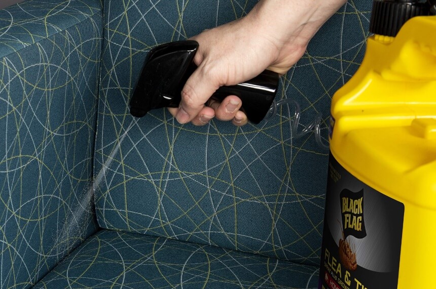 8 Best Flea Bombs and Foggers for House - Kill Them All for Good