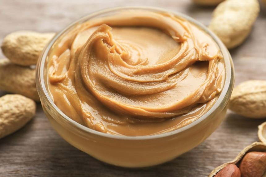 Best Baits for a Humane Mouse Trap: 8 Most Effective Options