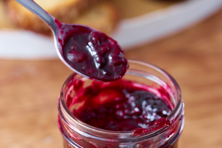 Best Baits for a Humane Mouse Trap: 8 Most Effective Options