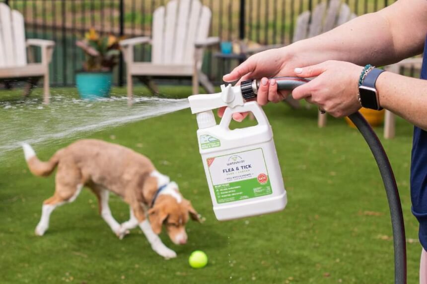 6 Best Mosquito Killers: No More Bites!