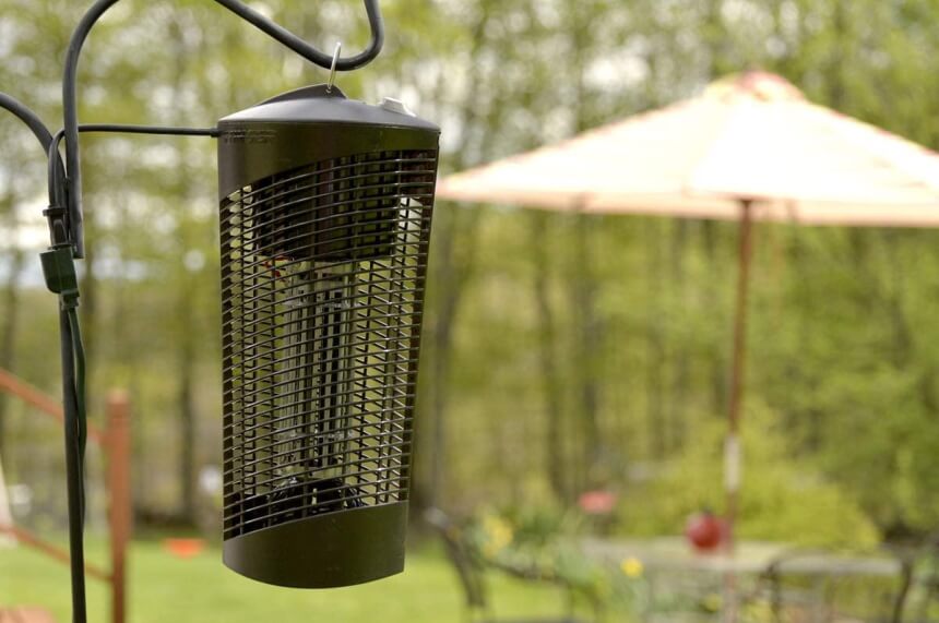 6 Best Mosquito Killers: No More Bites!