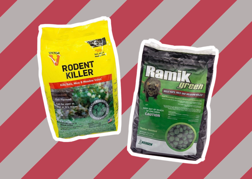 5 Best Vole Poisons to Protect Your Yard