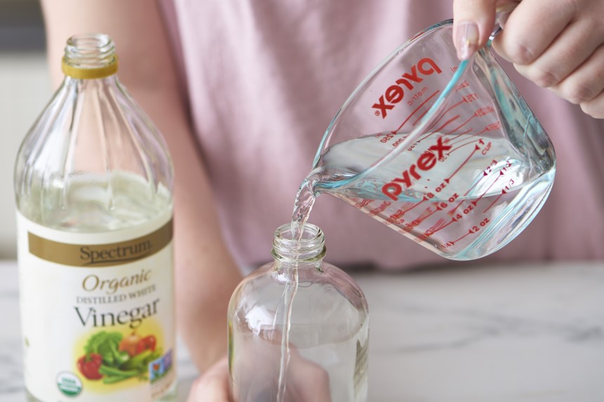 How to Get Rid of Fleas Naturally with Vinegar