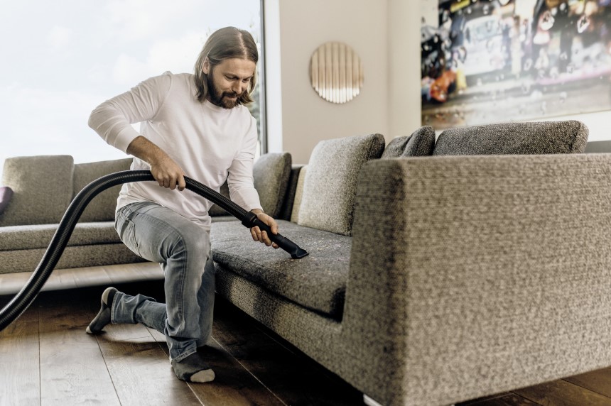 How to Get Rid of Fleas in the House Forever